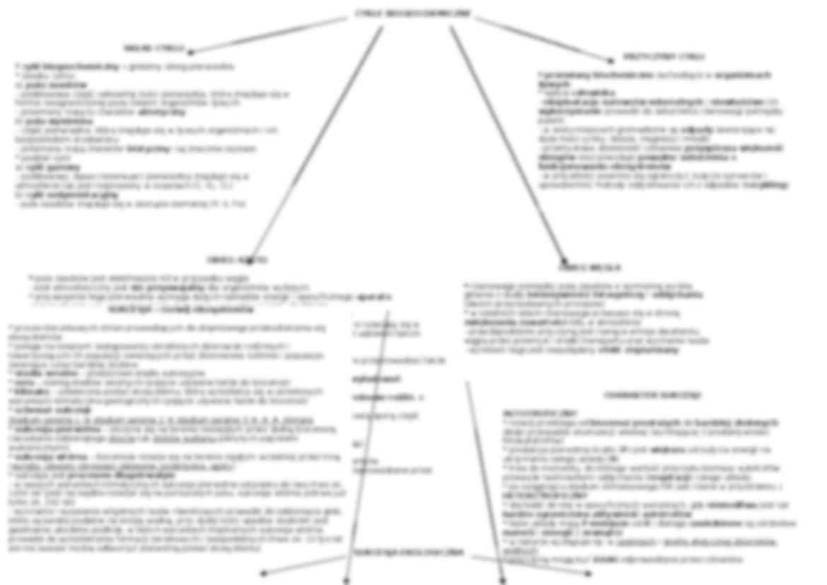 Ekosystemy i ich rozwój - strona 3