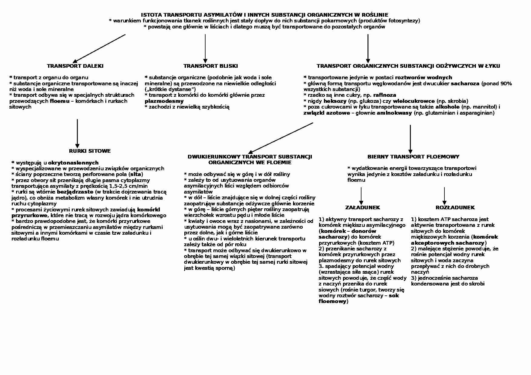 Istota transportu asymilantów - strona 1