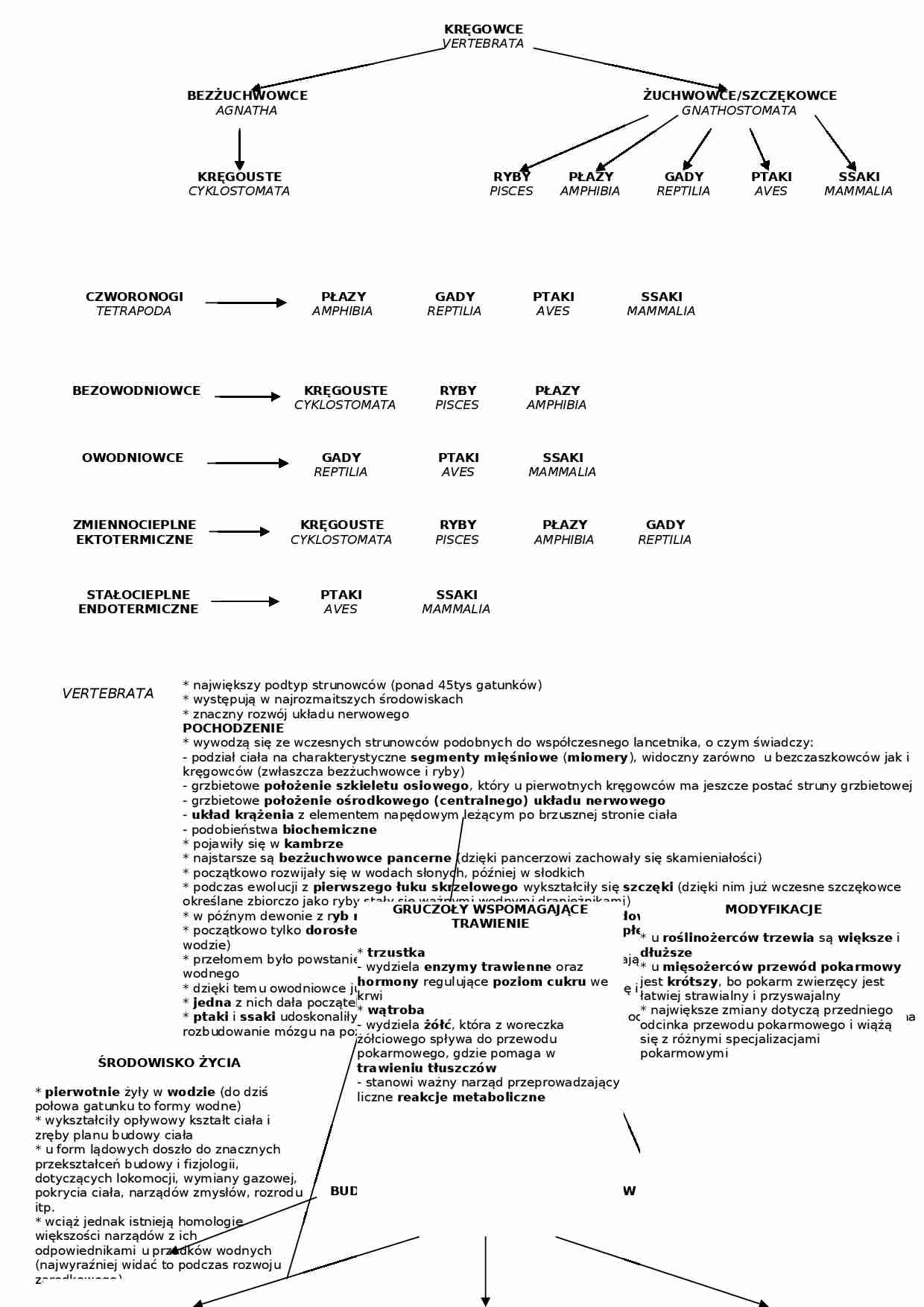 Biologia - kręgowce i ich cechy - strona 1