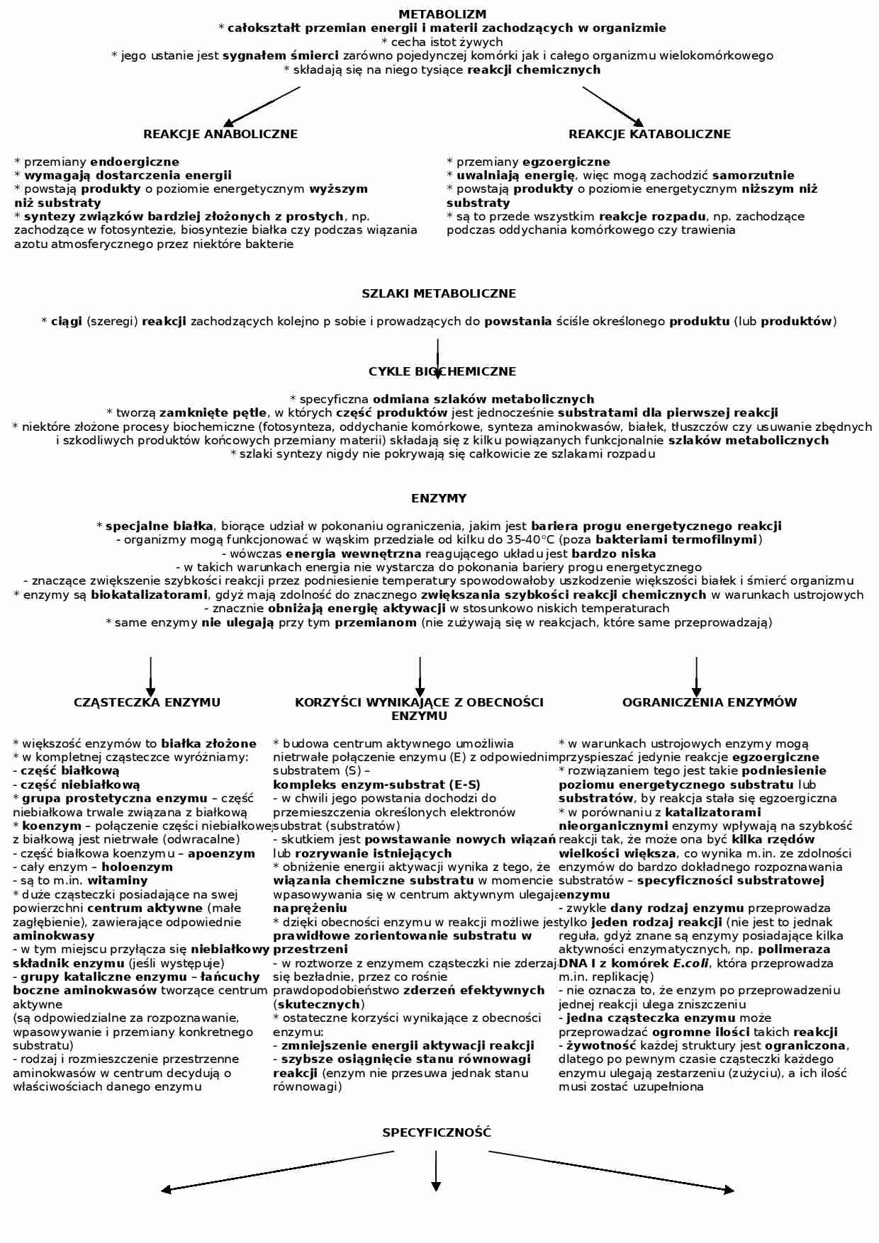 Biologia - metabolizm i jego funkcje - strona 1
