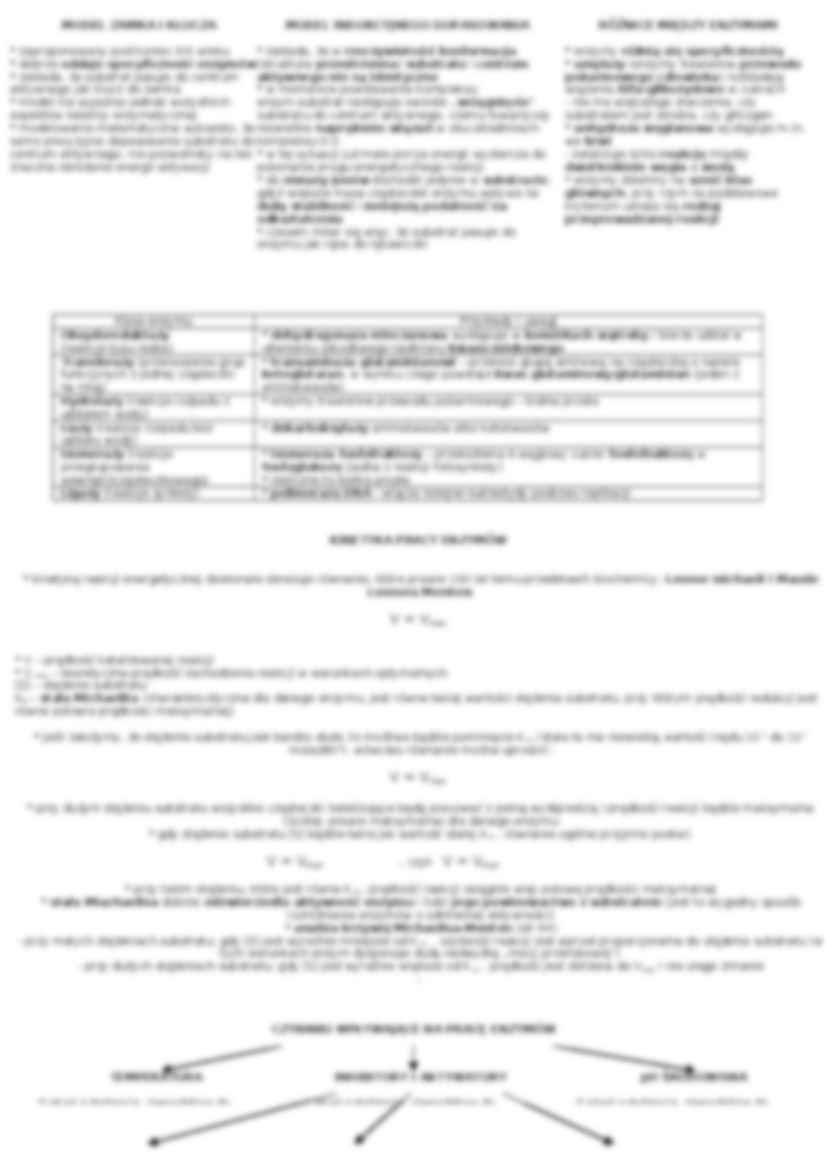Biologia - metabolizm i jego funkcje - strona 2