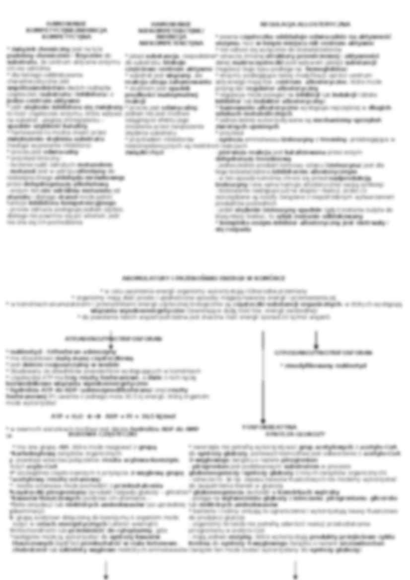 Biologia - metabolizm i jego funkcje - strona 3