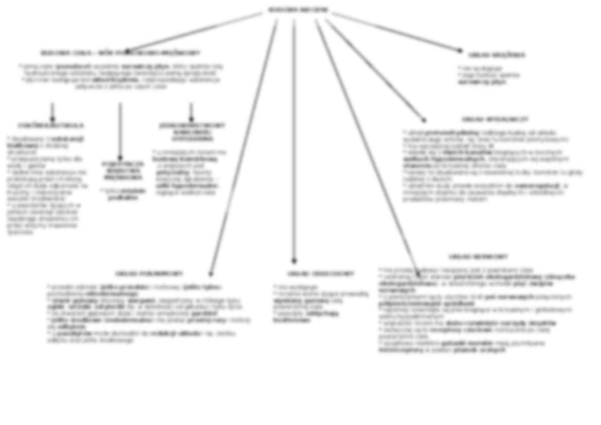 Biologia - nicienie i ich cechy - strona 2