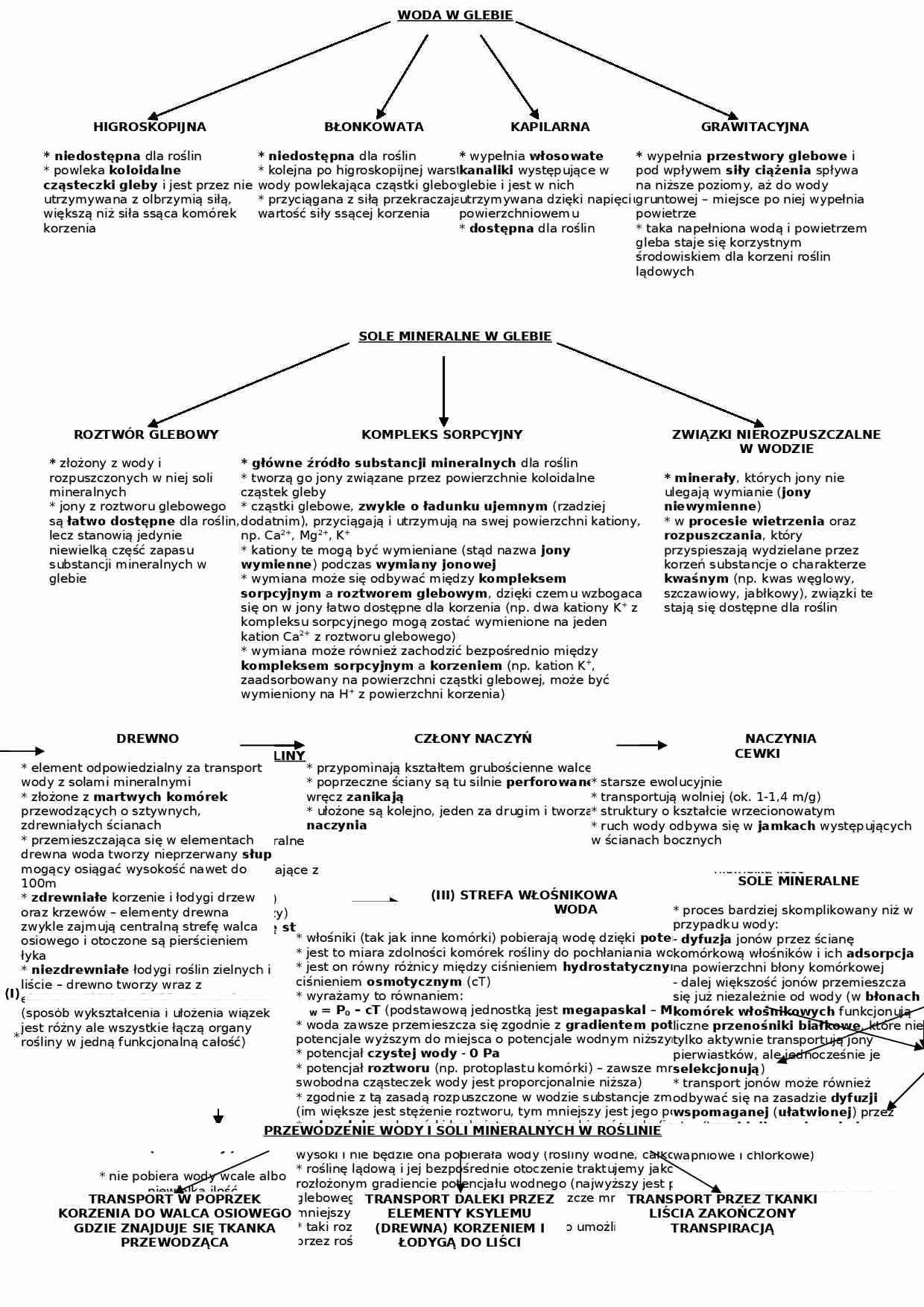 Gospodarka wodna roślin - strona 1