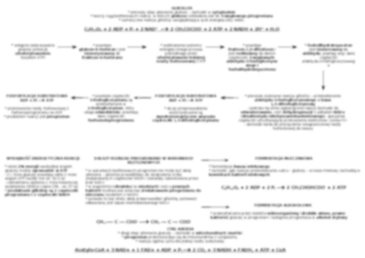 Biologia - oddychanie komórkowe - strona 2