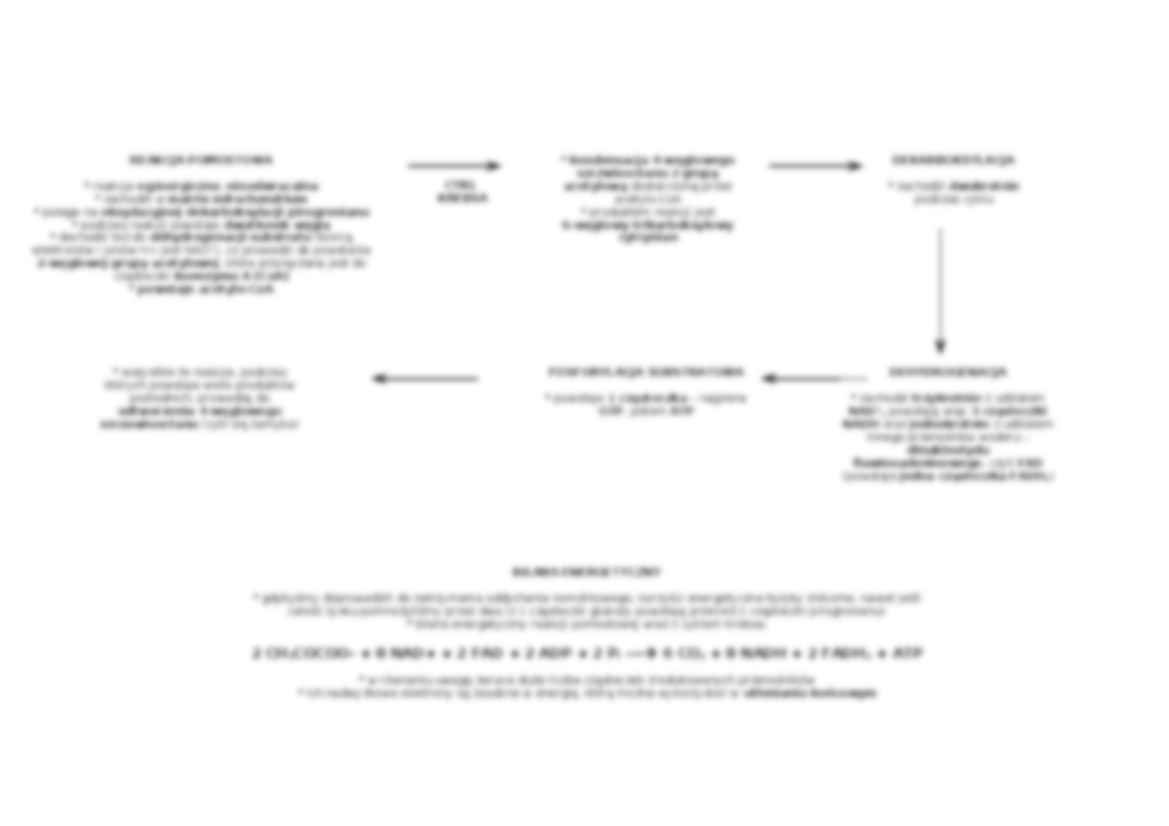 Biologia - oddychanie komórkowe - strona 3