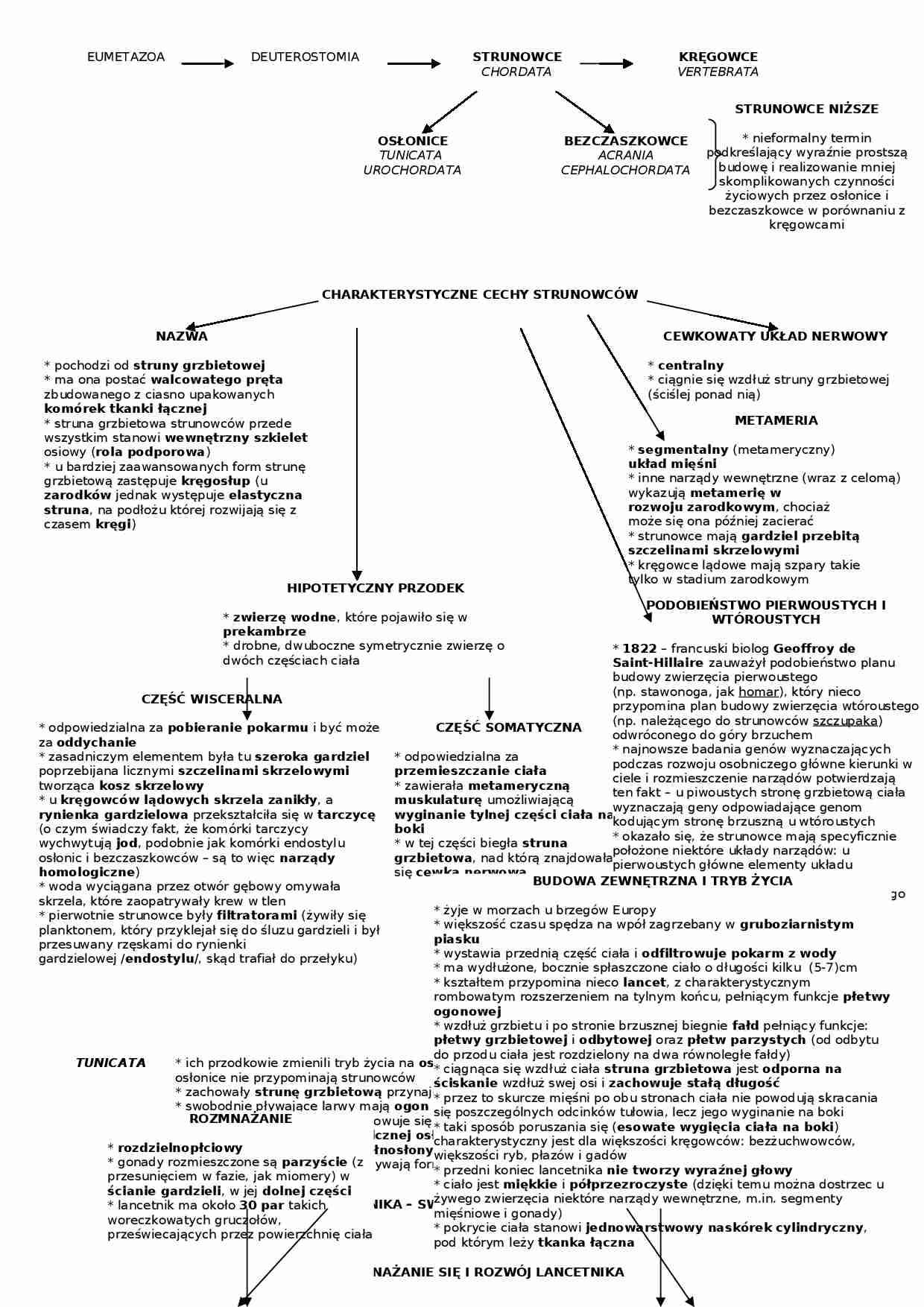 Osłonice i bezczaszkowce - strona 1