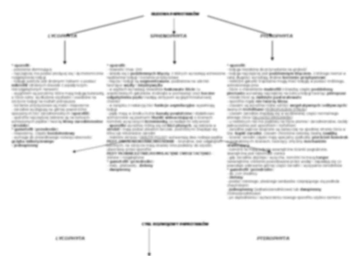 Biologia - paprotniki i ich cechy - strona 2