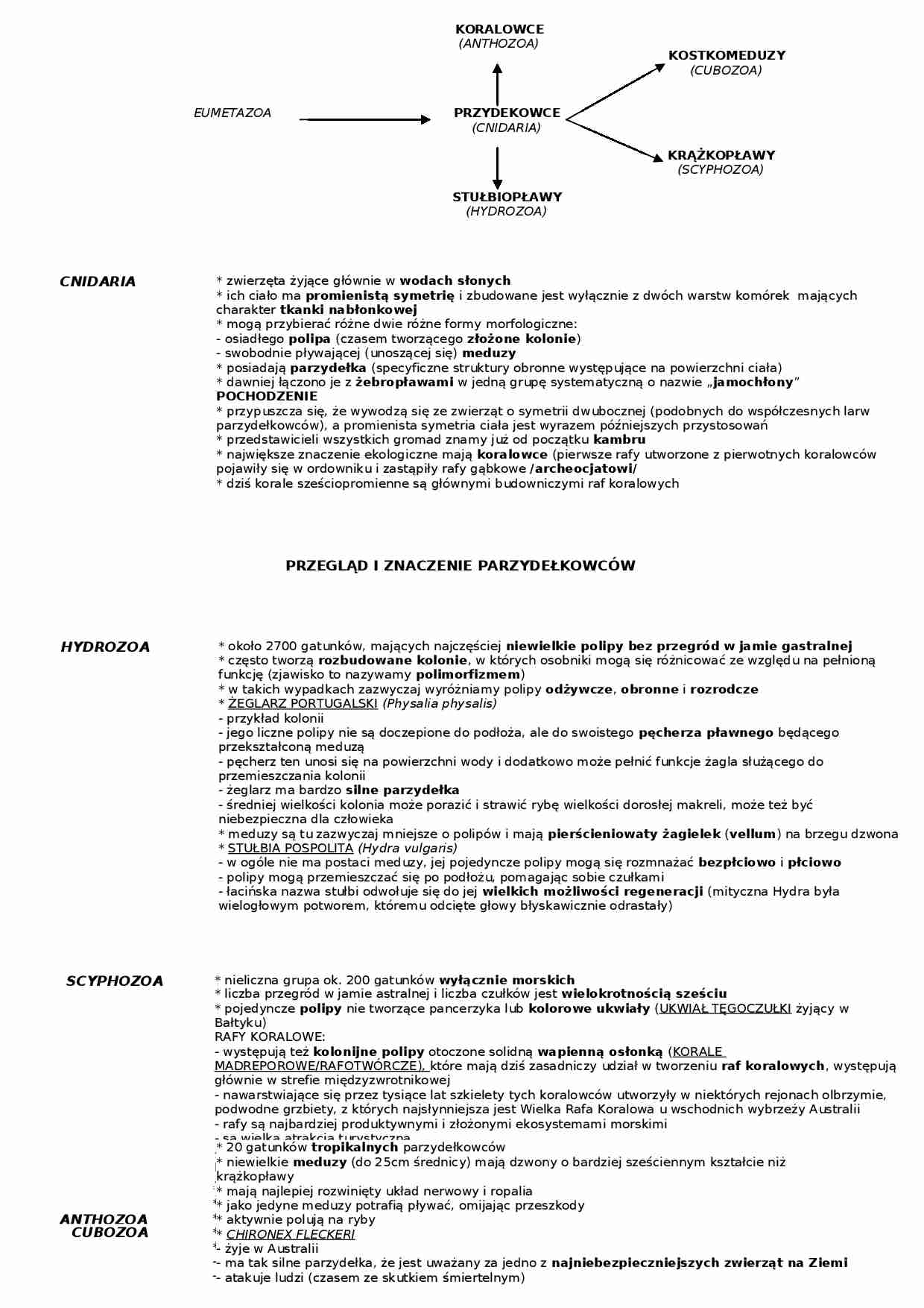 Biologia - parzydełkowce i ich cechy - strona 1