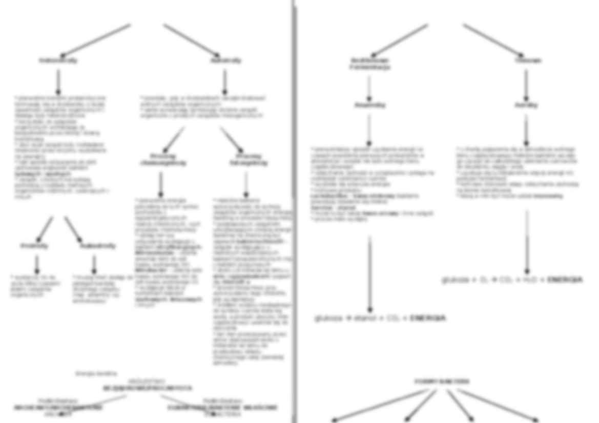 Procaryota w biologii - strona 3