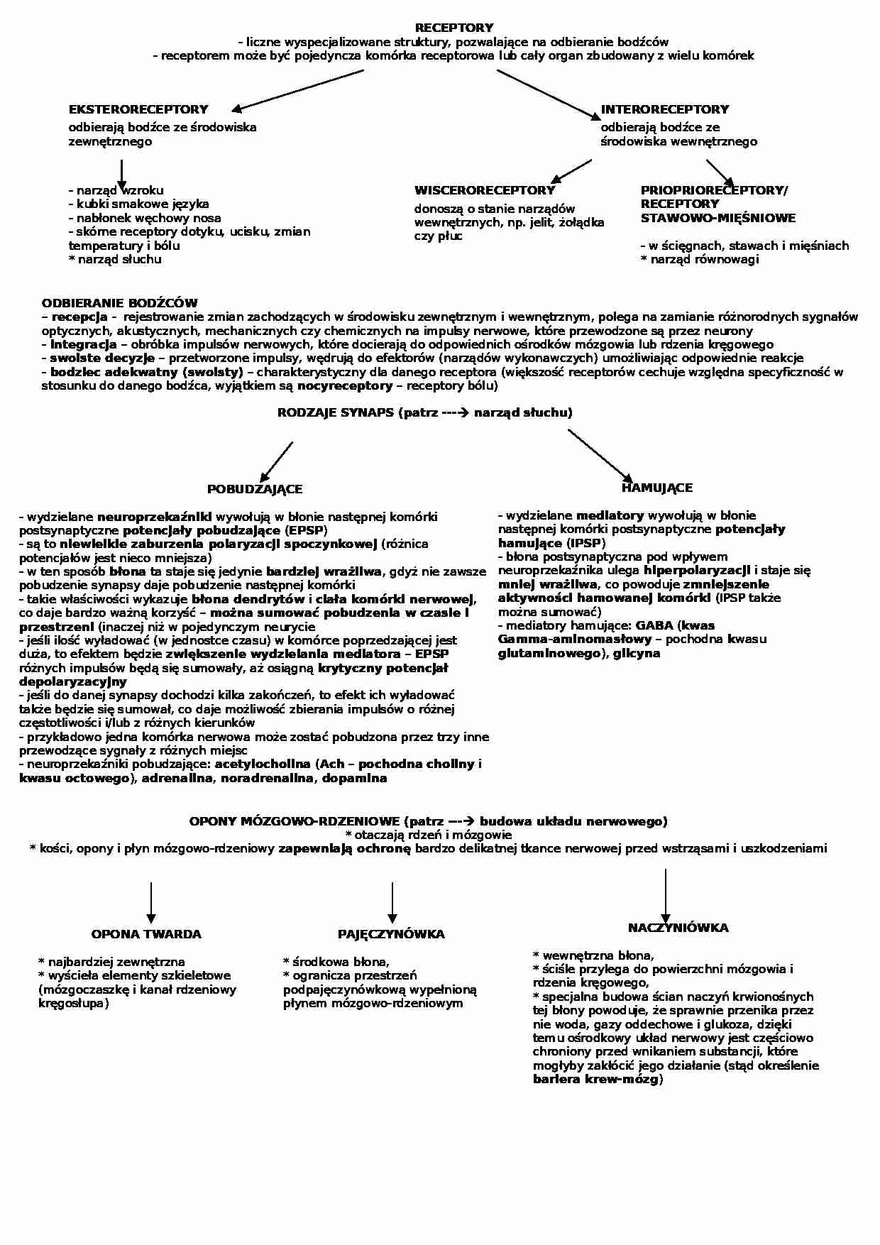 Biologia - układ nerwowy - strona 1