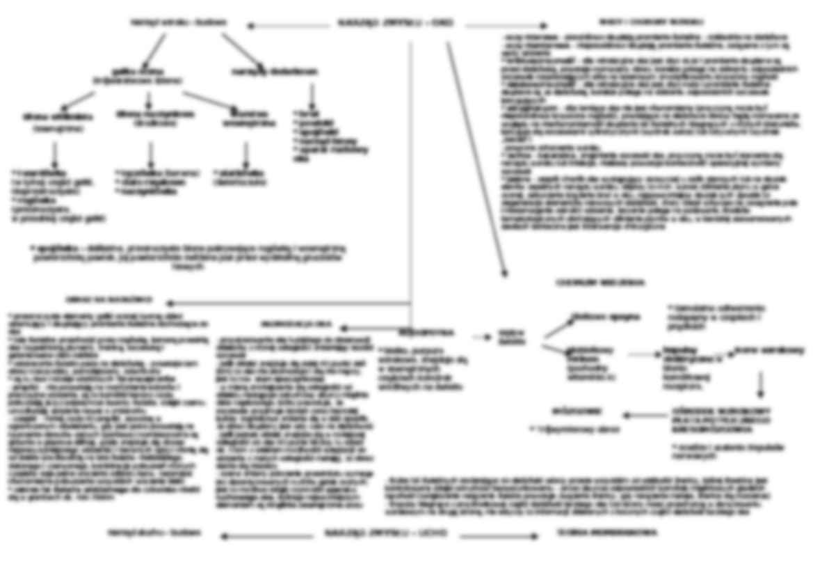 Biologia - układ nerwowy - strona 2