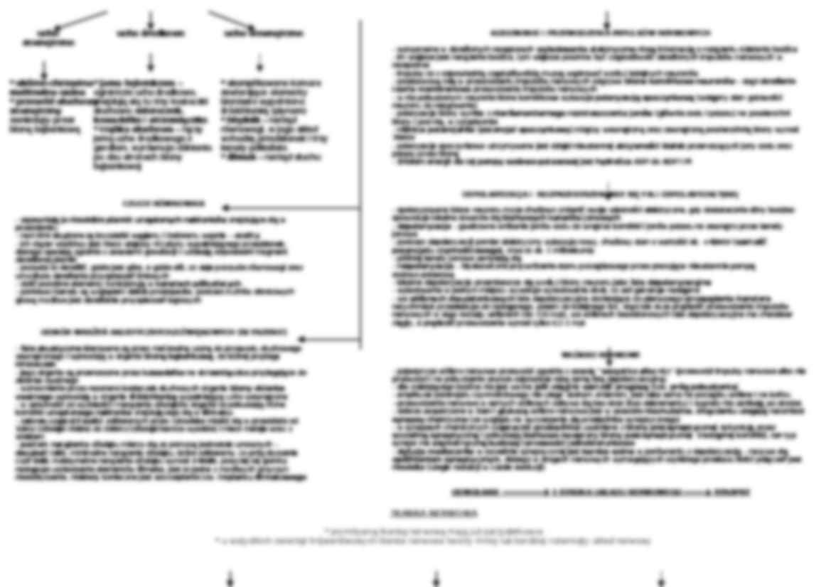 Biologia - układ nerwowy - strona 3