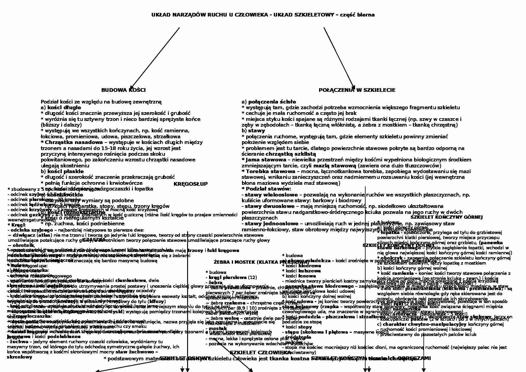 Biologia - układ ruchu - strona 1