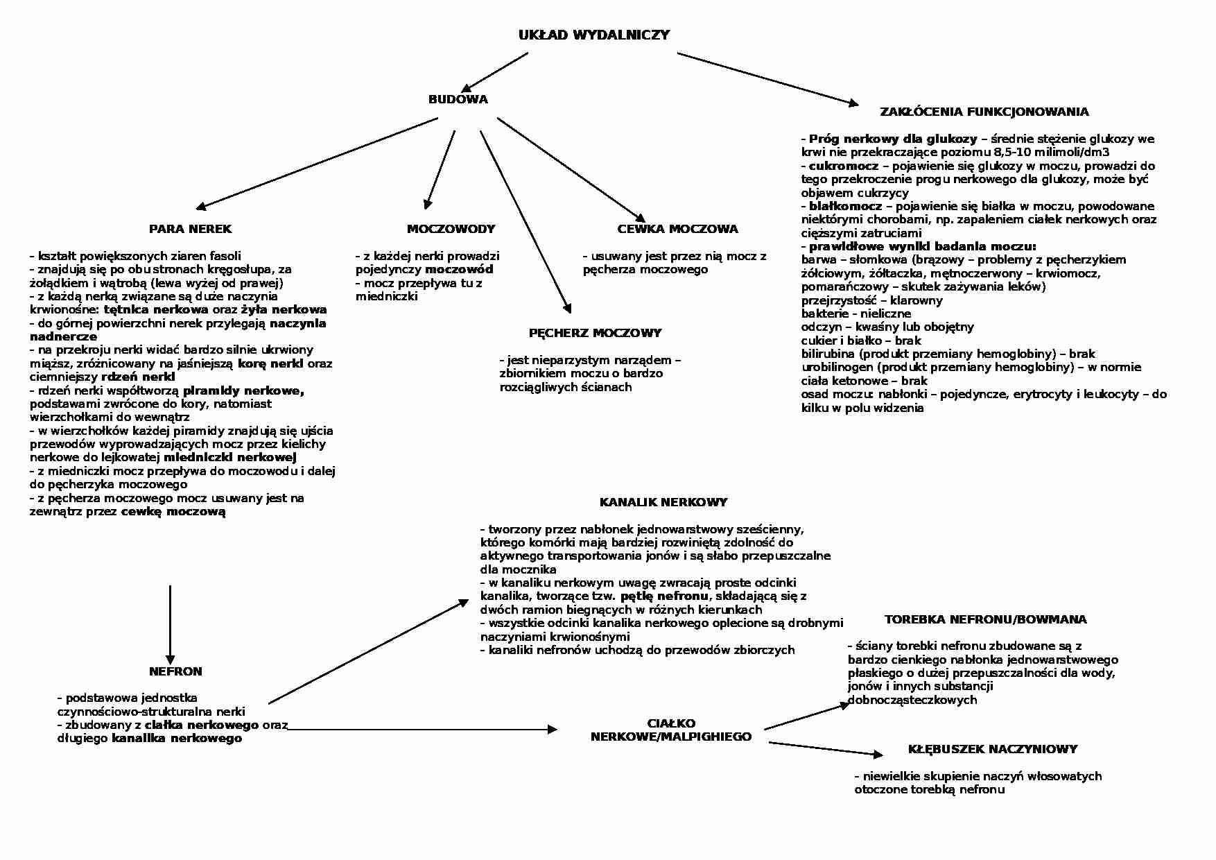 Biologia - układ wydalniczy - strona 1