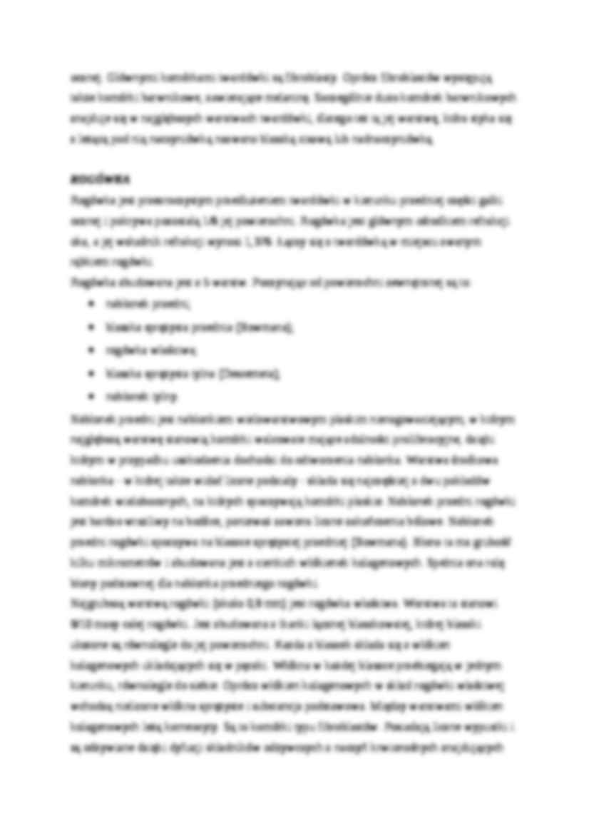 Oko - budowa, charakterystyka - strona 2