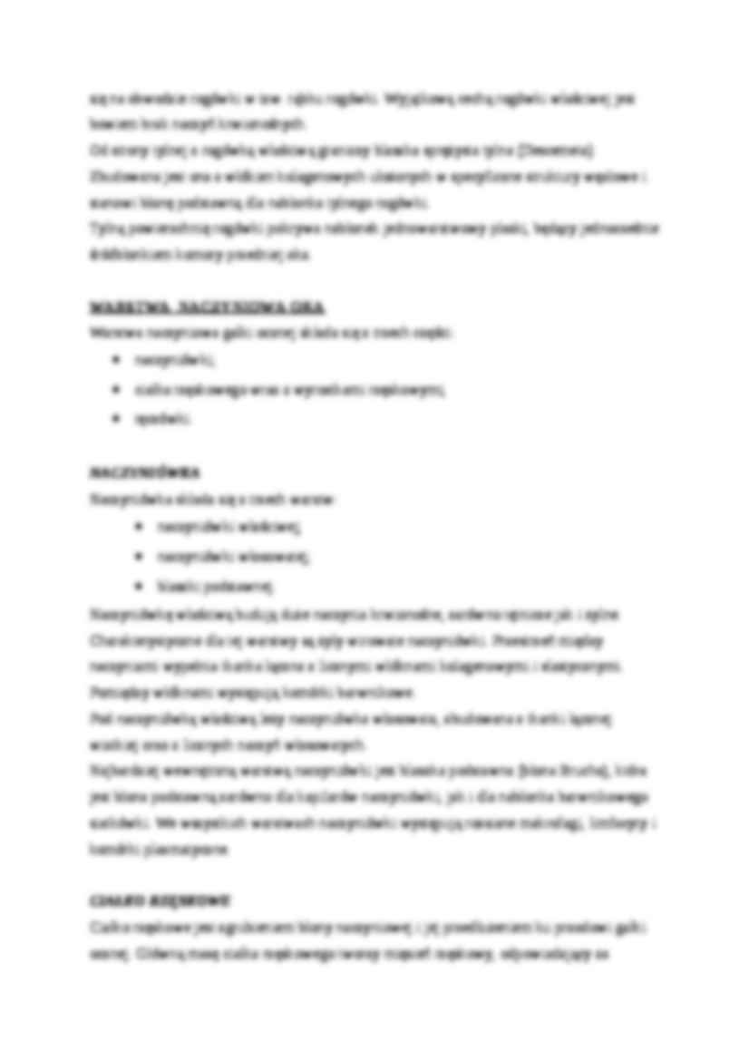 Oko - budowa, charakterystyka - strona 3