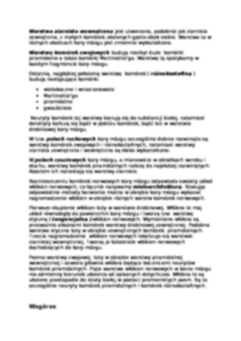 Histologia - układ nerwowy - strona 2