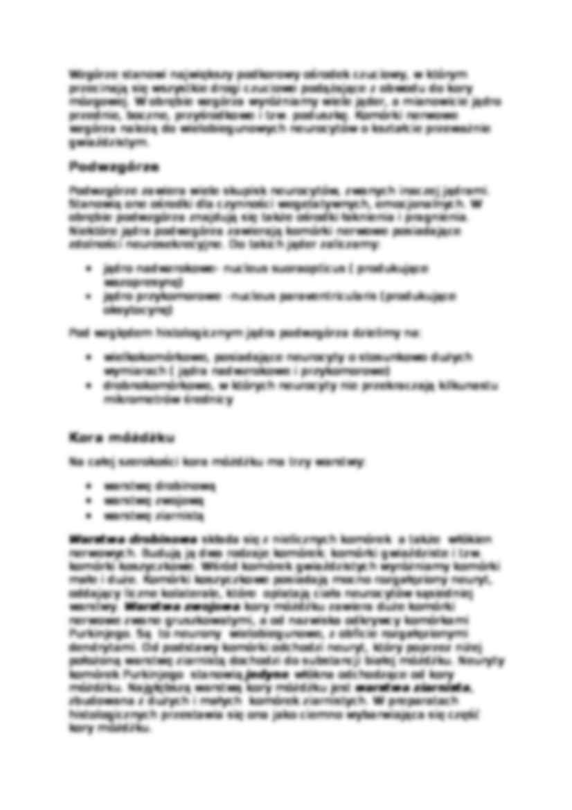 Histologia - układ nerwowy - strona 3