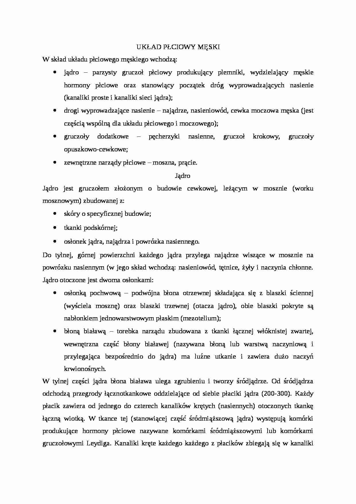 Układ płciowy męski - strona 1