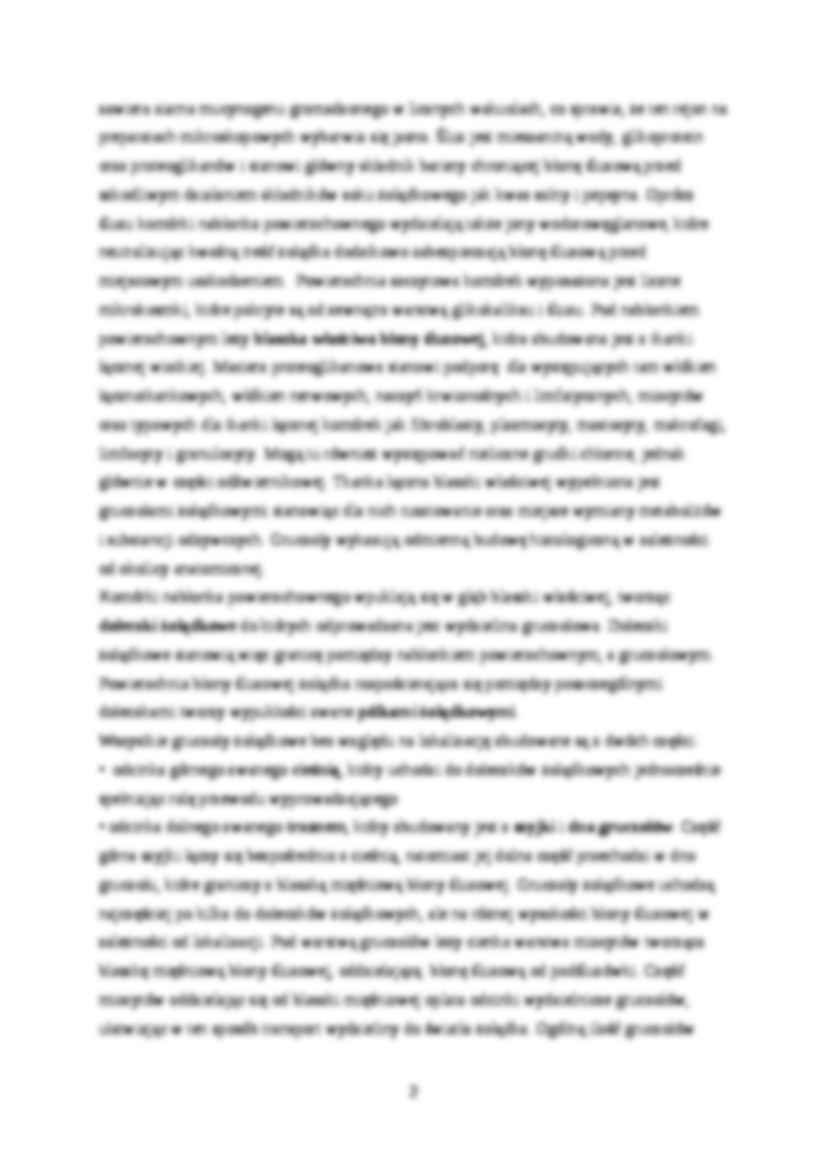 Układ pokarmowy 2 - strona 2