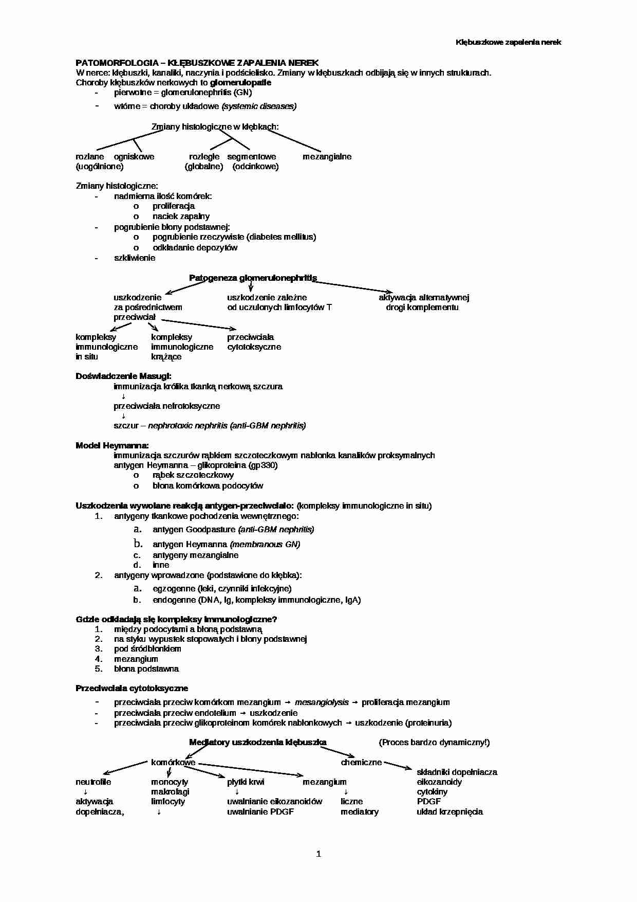Kłębuszkowe zapalenia nerek - strona 1