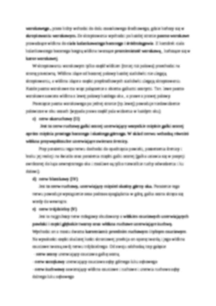 Patomorfologia - układ nerwowy - strona 3