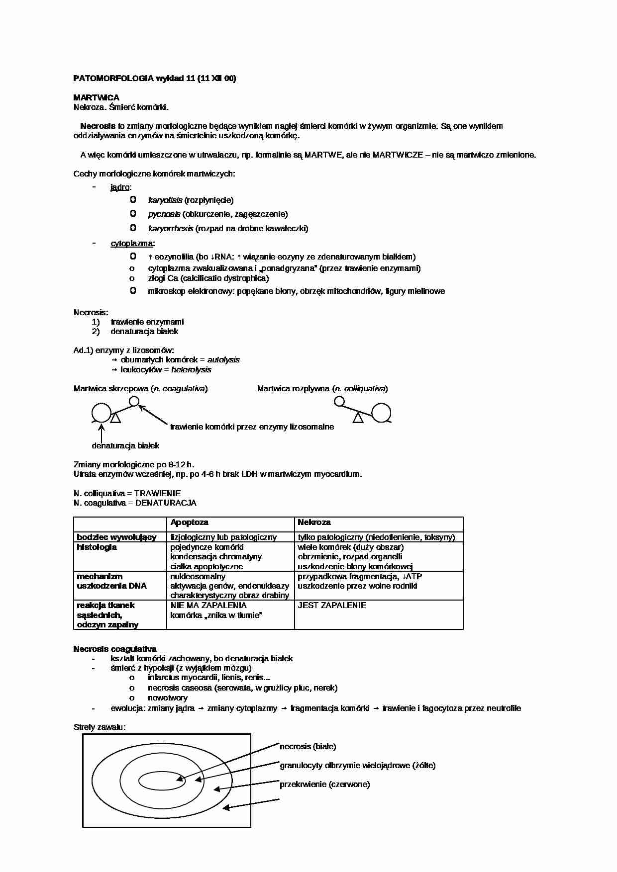 Patomorfologia - wykład 10 - strona 1