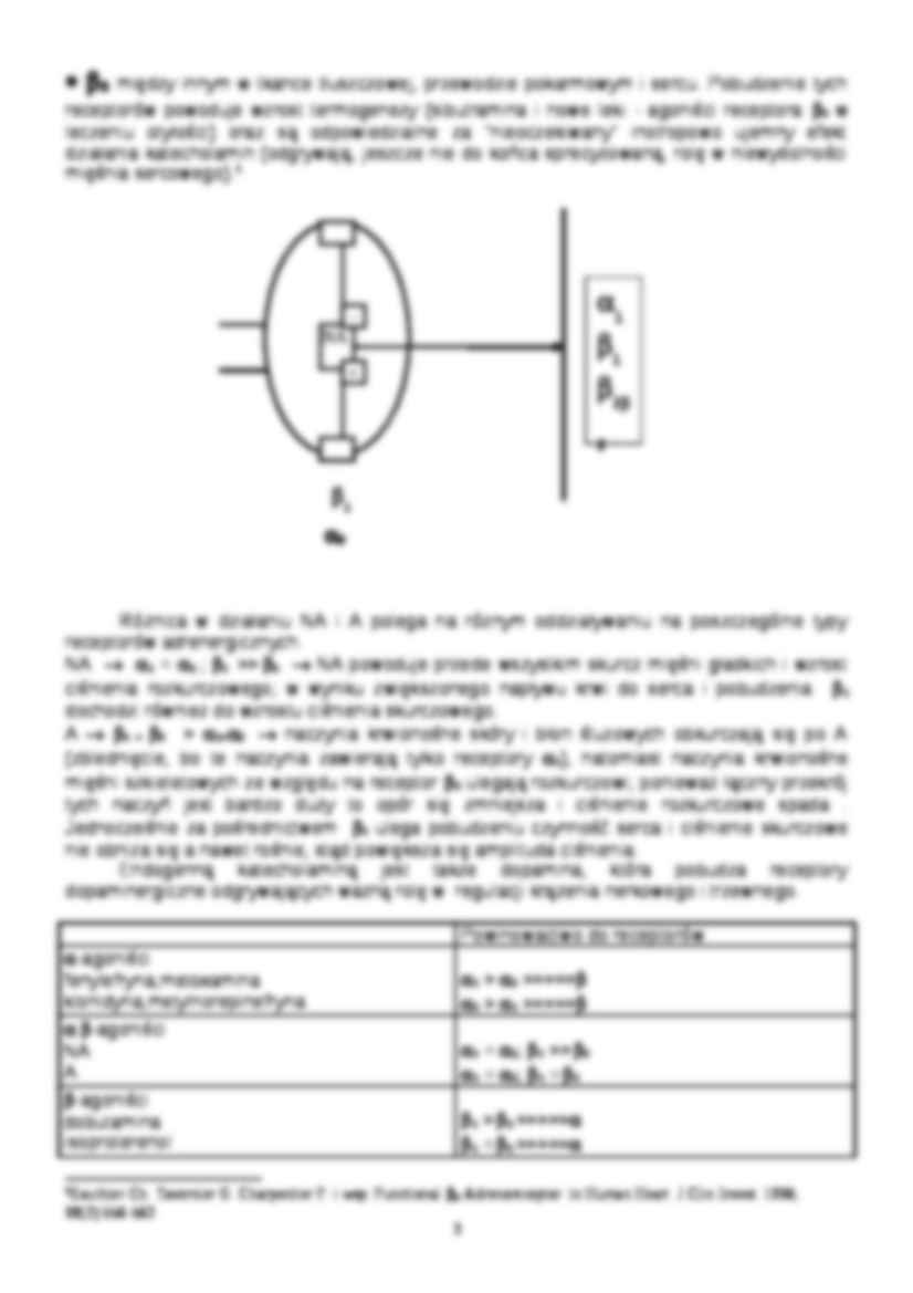 Leki układu wegetatywnego - fizjologia i anatomia - strona 3