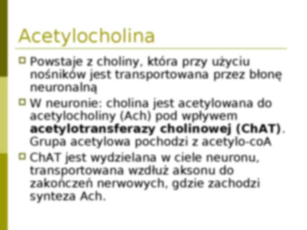 Uklad wspólczulny- prezentacja - strona 2