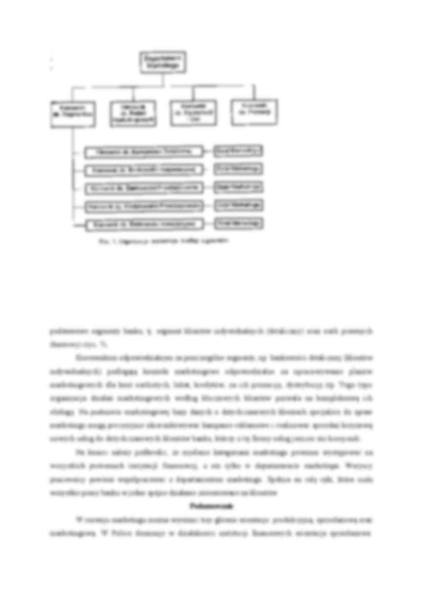 Organizacja marketingu w banku - strona 3