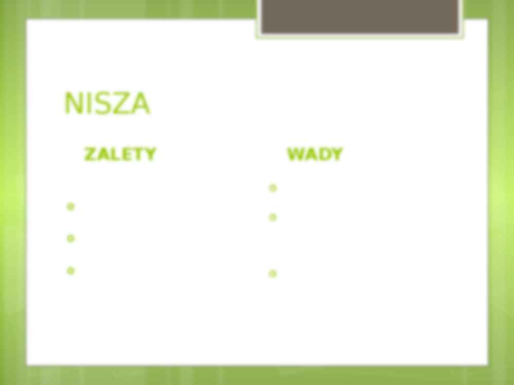 Strategie firm niszowych - strona 3