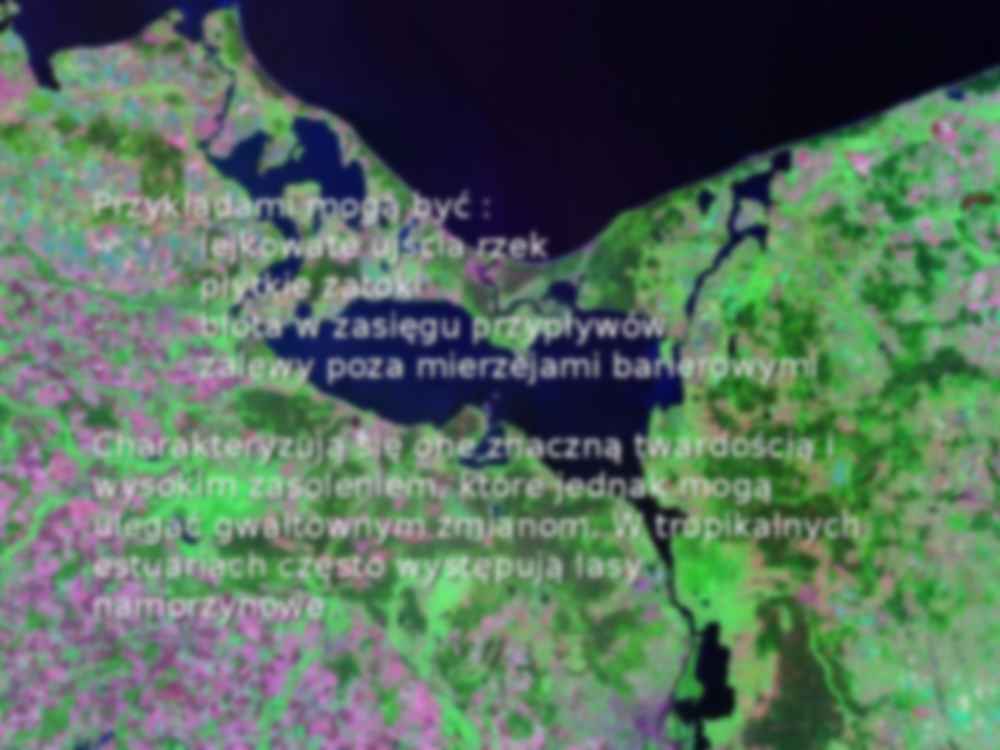 Estuaria- prezentacja - strona 3