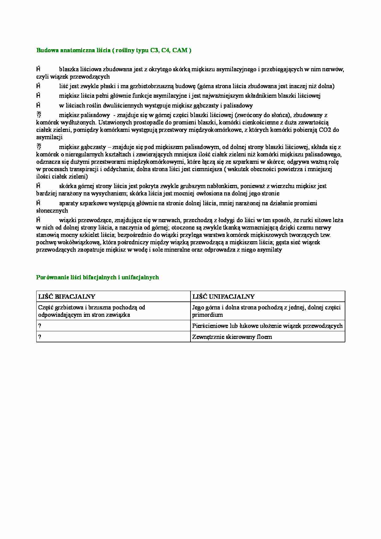 Budowa anatomiczna liścia (roślin typu C3, C4, C5) - strona 1