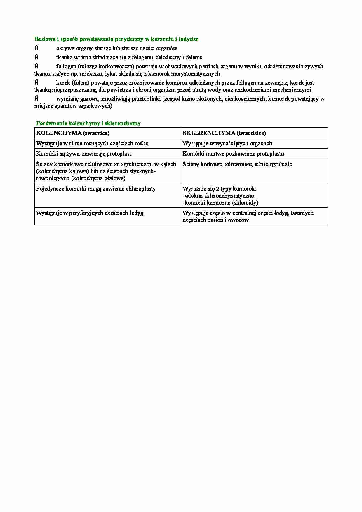 Budowa i sposób powstawania perydermy w korzeniu i łodydze - strona 1
