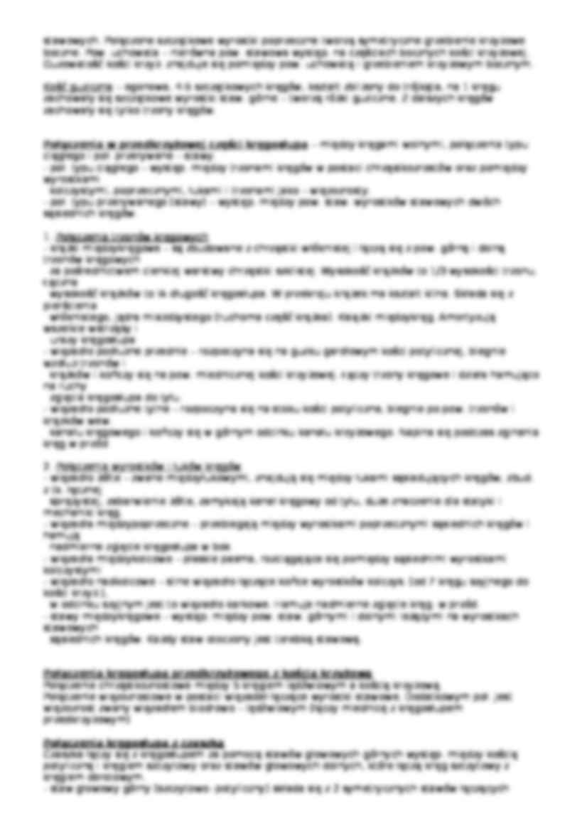 Kościec Osiowy - strona 2