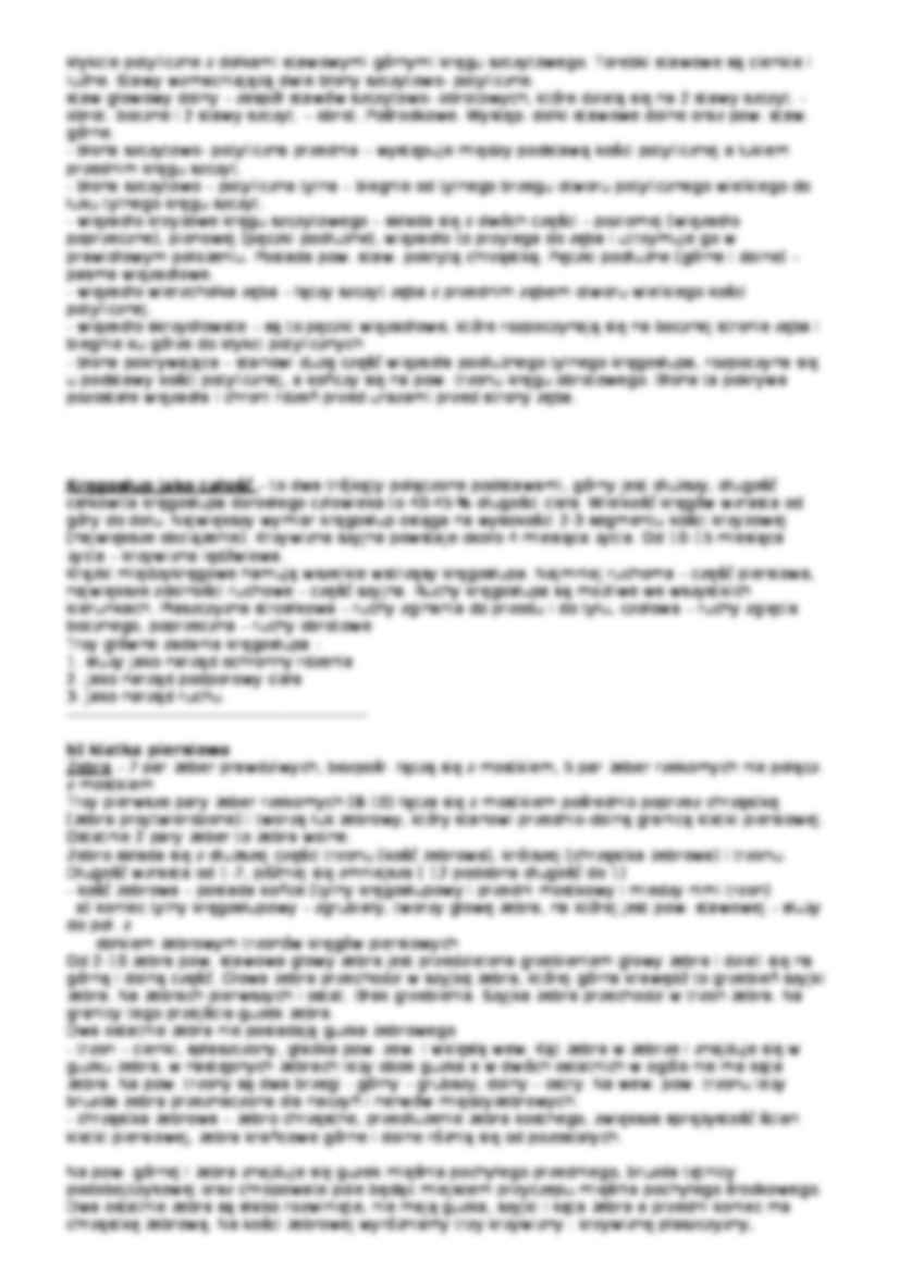 Kościec Osiowy - strona 3