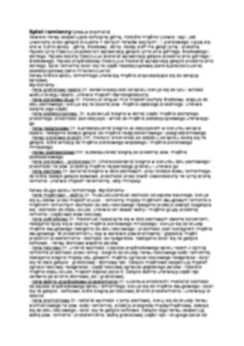 Nerwy rdzeniowe, Sploty - strona 2