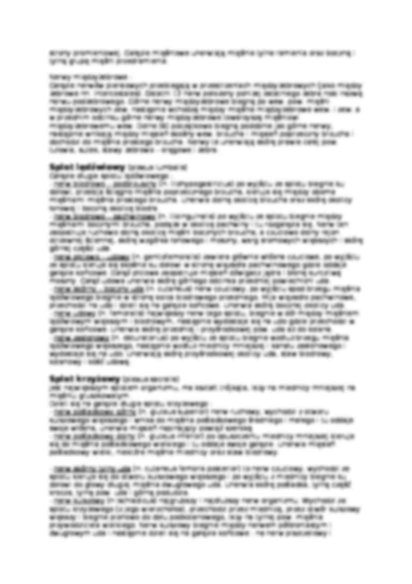 Nerwy rdzeniowe, Sploty - strona 3