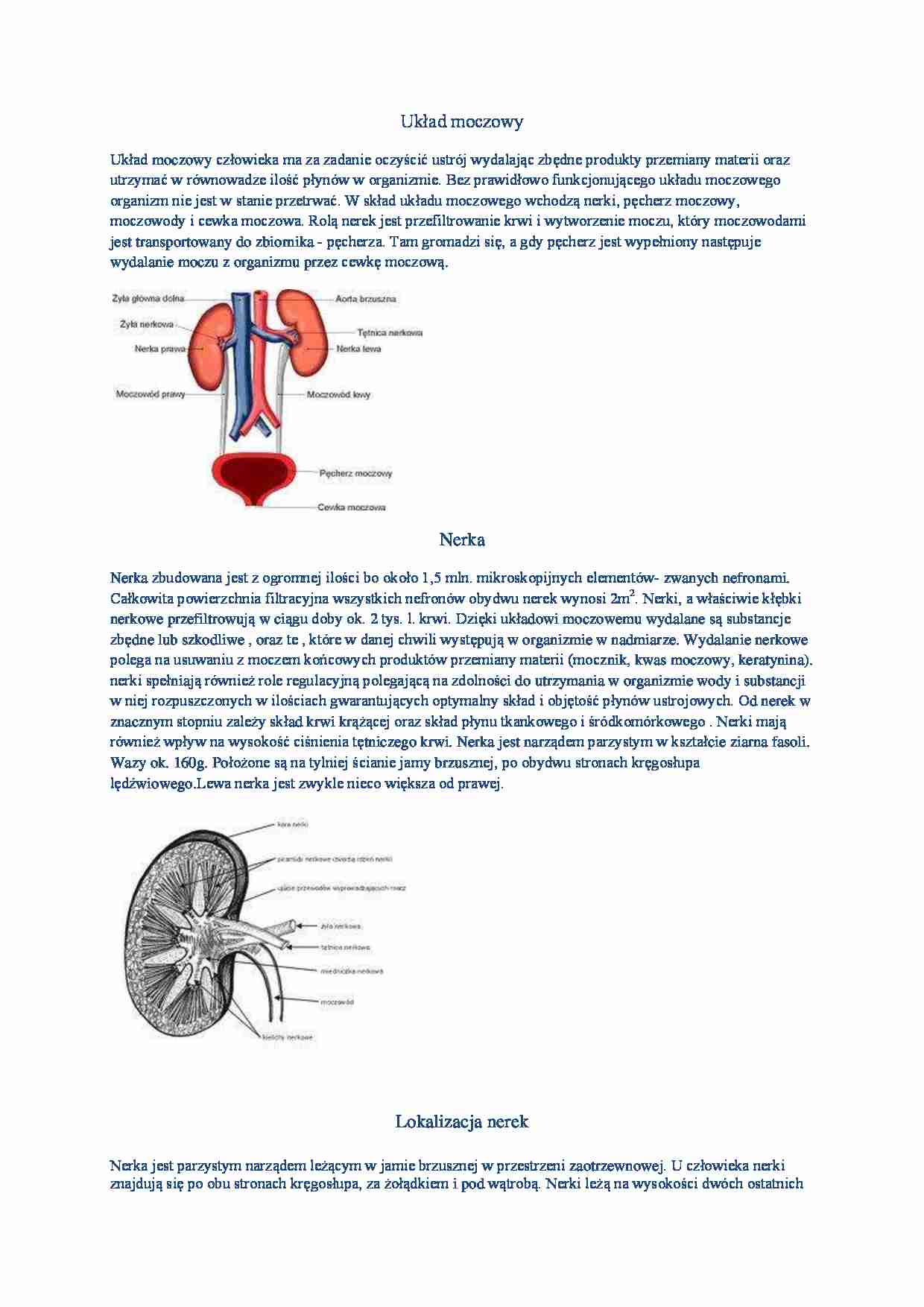 Układ moczowy - strona 1