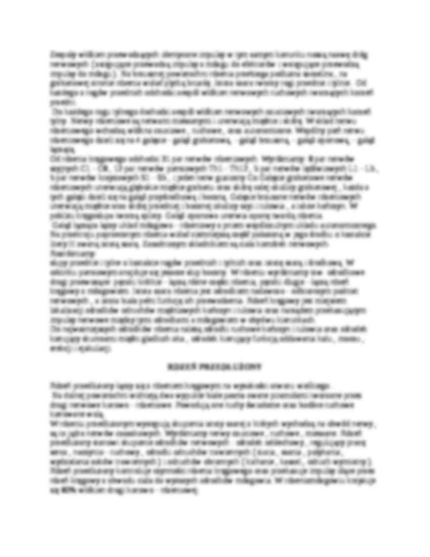 Fizjologia układu nerwowego - strona 3