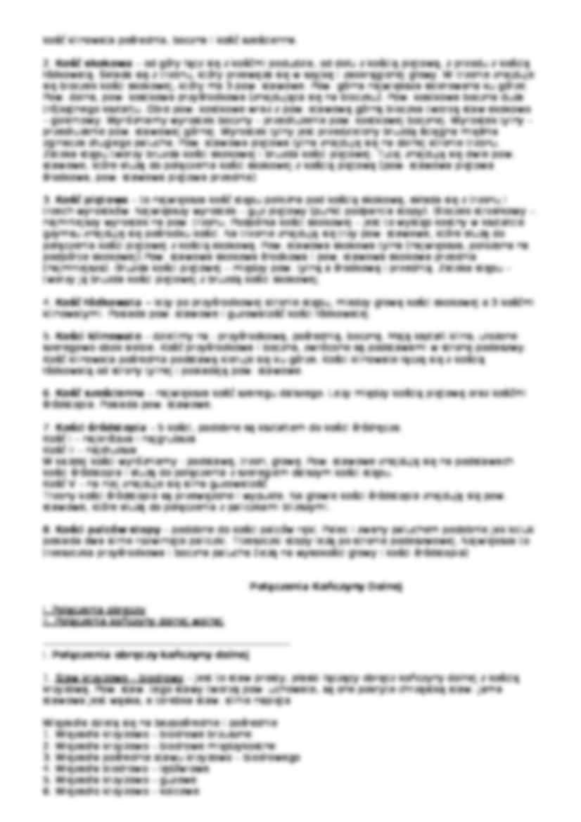 Kościec kończyny dolnej - strona 3