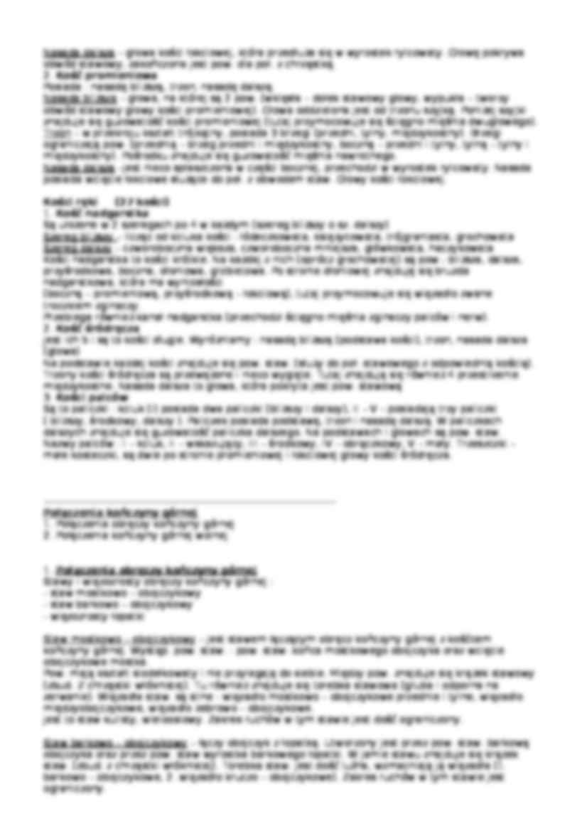 Kościec kończyny górnej - strona 2