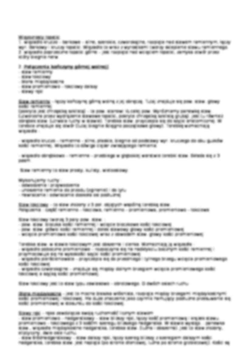 Kościec kończyny górnej - strona 3