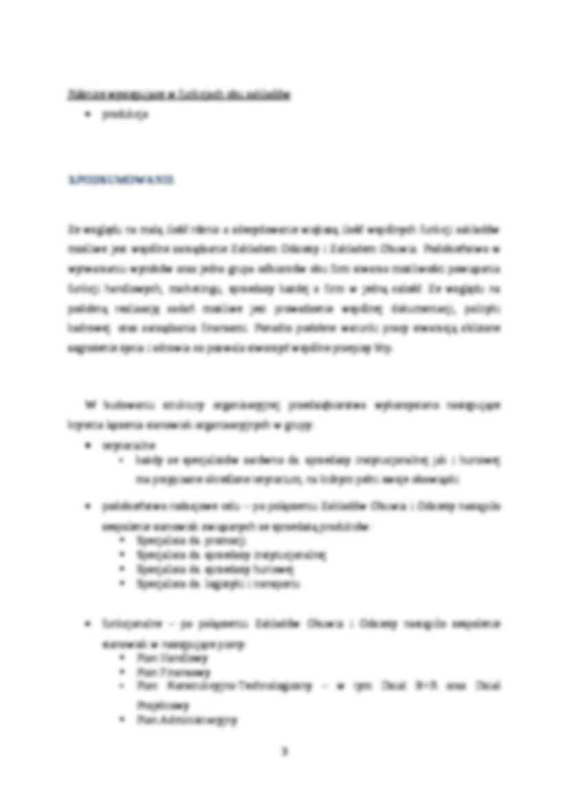 Projektowanie oraganizacji firmy- projekt - strona 3