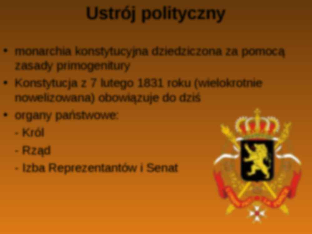 System polityczny Belgii - strona 3