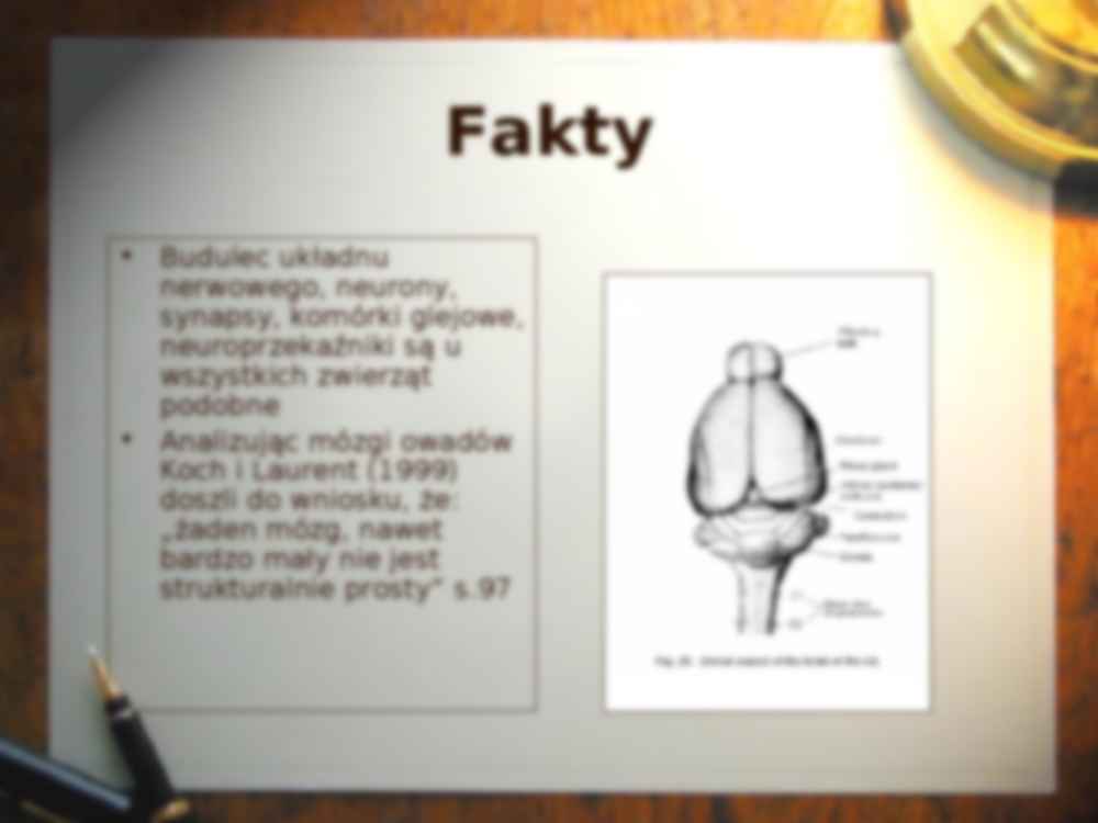 Fizjologiczne wskaźniki myślenia - wykład - strona 3