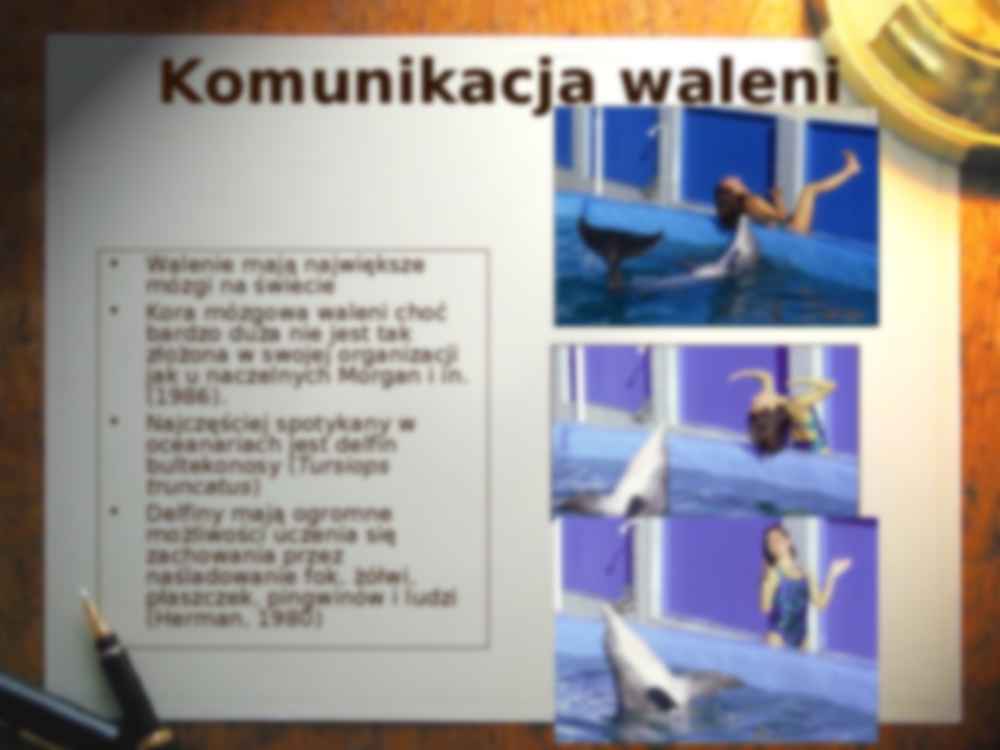 Komunikacja część 3 -wykład - strona 2