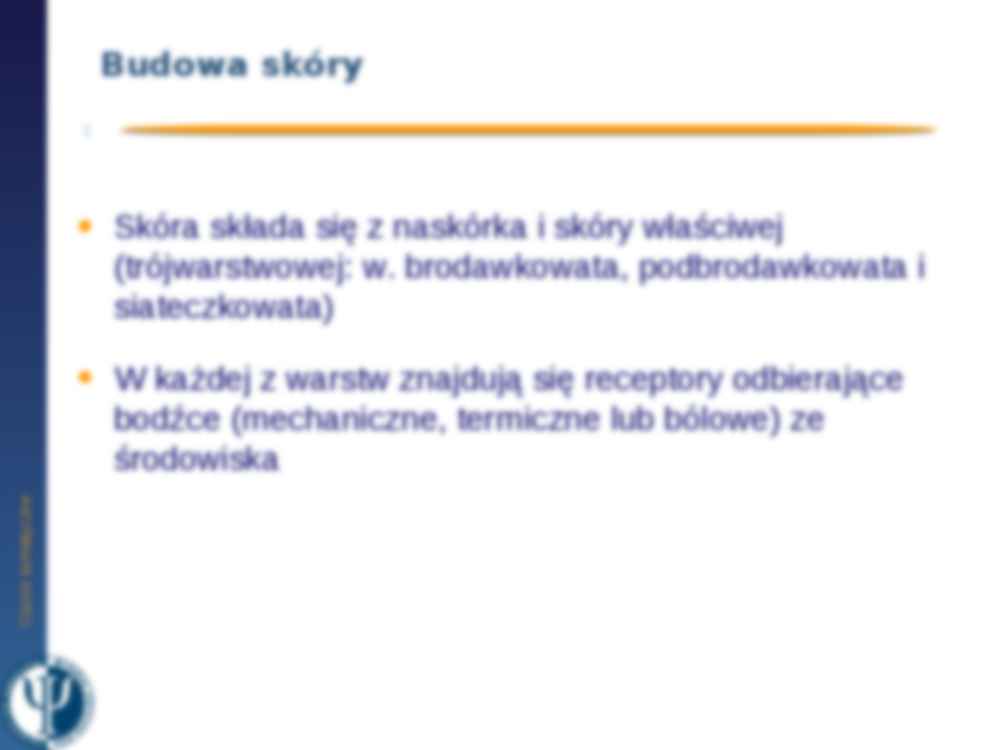 Czucie somatyczne - prezentacja - strona 3