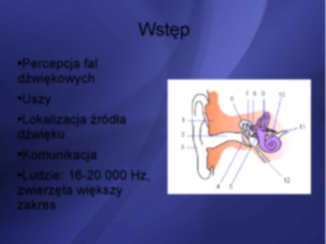 Narząd słuchu - charakterystyka - strona 2